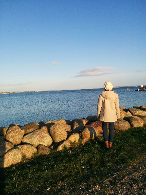 Ob morju Danska