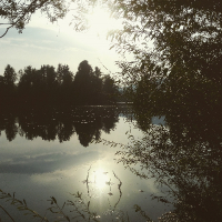 Jezero Divjak - Vrhnika.